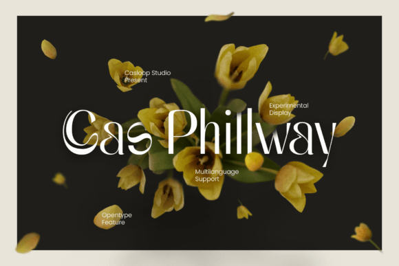 Cas Philway: A Font That Elevates Brand Design